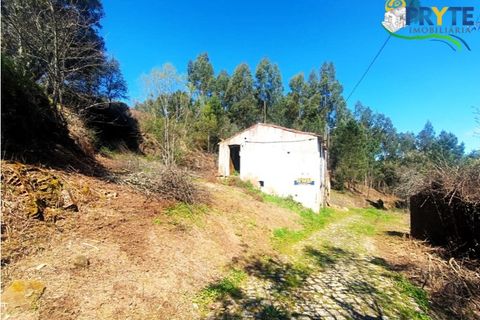 Ruinere i Serta, Castelo Branco, Serta - € 29.500 | Ref: MG156 - foto 19