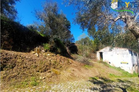 Ruinere i Serta, Castelo Branco, Serta - € 29.500 | Ref: MG156 - foto 20