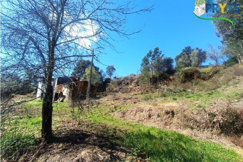 Ruinere i Serta, Castelo Branco, Serta - € 29.500 | Ref: MG156 - foto 21