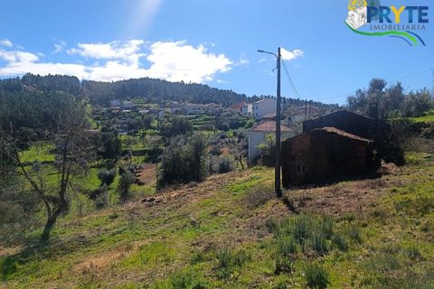 Ruinere i Serta, Castelo Branco, Serta - € 29.500 | Ref: MG156 - foto 23