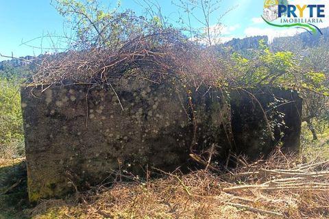 Ruinere i Serta, Castelo Branco, Serta - € 29.500 | Ref: MG156 - foto 24