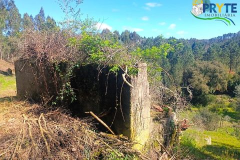 Ruinere i Serta, Castelo Branco, Serta - € 29.500 | Ref: MG156 - foto 25
