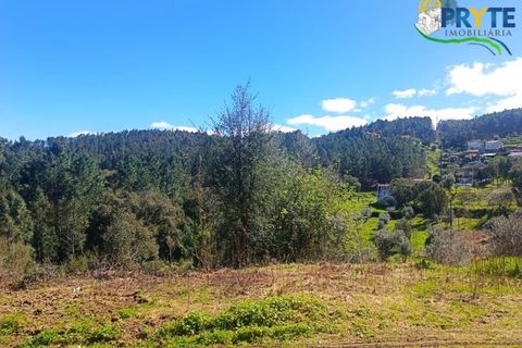 Ruinere i Serta, Castelo Branco, Serta - € 29.500 | Ref: MG156 - foto 26