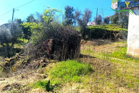 Ruinere i Serta, Castelo Branco, Serta - € 29.500 | Ref: MG156 - foto 27