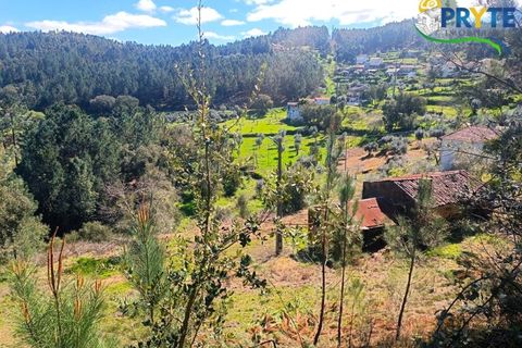Ruinere i Serta, Castelo Branco, Serta - € 29.500 | Ref: MG156 - foto 28