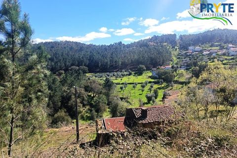 Ruinere i Serta, Castelo Branco, Serta - € 29.500 | Ref: MG156 - foto 29