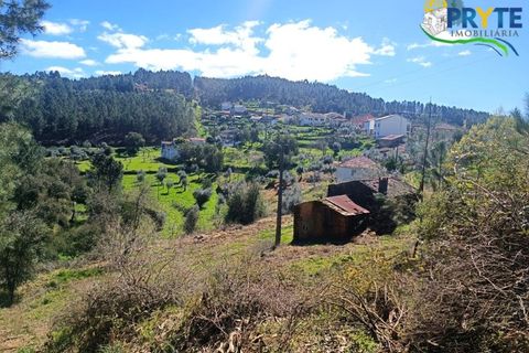 Ruinere i Serta, Castelo Branco, Serta - € 29.500 | Ref: MG156 - foto 30