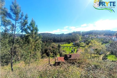 Ruinere i Serta, Castelo Branco, Serta - € 29.500 | Ref: MG156 - foto 31