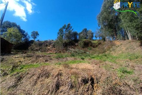 Ruinere i Serta, Castelo Branco, Serta - € 29.500 | Ref: MG156 - foto 32