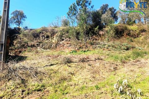 Ruinere i Serta, Castelo Branco, Serta - € 29.500 | Ref: MG156 - foto 33