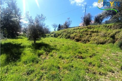 Ruinere i Serta, Castelo Branco, Serta - € 29.500 | Ref: MG156 - foto 35
