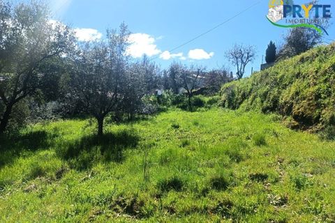 Ruinere i Serta, Castelo Branco, Serta - € 29.500 | Ref: MG156 - foto 36