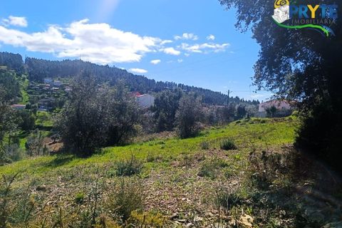 Ruinere i Serta, Castelo Branco, Serta - € 29.500 | Ref: MG156 - foto 38