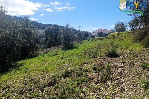 Ruinere i Serta, Castelo Branco, Serta - € 29.500 | Ref: MG156 - foto 39