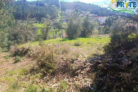 Ruinere i Serta, Castelo Branco, Serta - € 29.500 | Ref: MG156 - foto 40