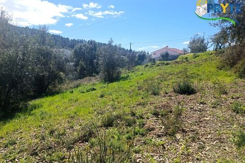 Ruinere i Serta, Castelo Branco, Serta - € 29.500 | Ref: MG156 - foto 41