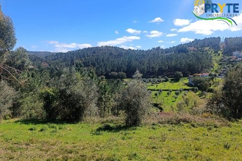 Ruinere i Serta, Castelo Branco, Serta - € 29.500 | Ref: MG156 - foto 42