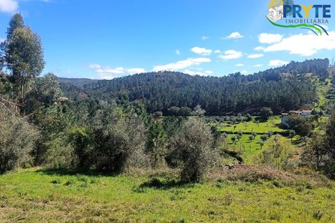 Ruinere i Serta, Castelo Branco, Serta - € 29.500 | Ref: MG156 - foto 43