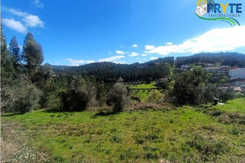 Ruinere i Serta, Castelo Branco, Serta - € 29.500 | Ref: MG156 - foto 44