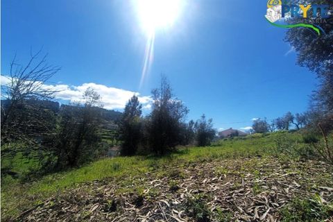 Ruinere i Serta, Castelo Branco, Serta - € 29.500 | Ref: MG156 - foto 46