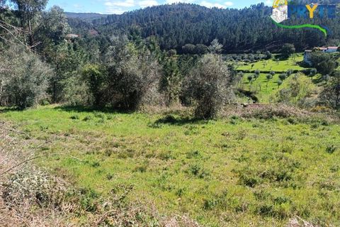 Ruinere i Serta, Castelo Branco, Serta - € 29.500 | Ref: MG156 - foto 47