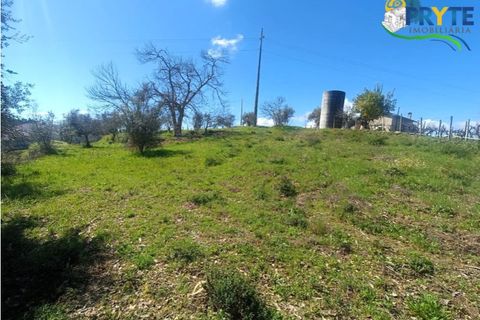 Ruinere i Serta, Castelo Branco, Serta - € 29.500 | Ref: MG156 - foto 48