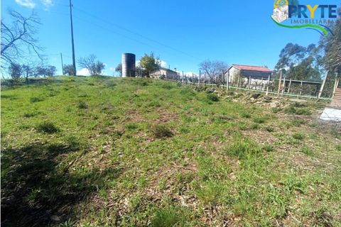 Ruinere i Serta, Castelo Branco, Serta - € 29.500 | Ref: MG156 - foto 49