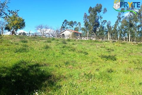 Ruinere i Serta, Castelo Branco, Serta - € 29.500 | Ref: MG156 - foto 50