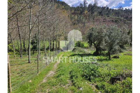 Villa a Arganil, Coimbra, Arganil - € 51.000 | Ref: SHJP250 - foto 2