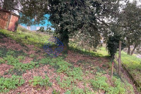 Helårsgrund i Valongo, Porto, Valongo - € 57.529 | Ref: 199491 - foto 2