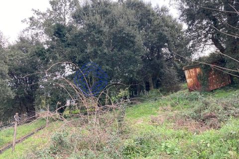 Helårsgrund i Valongo, Porto, Valongo - € 57.529 | Ref: 199491 - foto 6