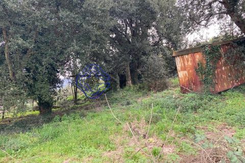 Helårsgrund i Valongo, Porto, Valongo - € 57.529 | Ref: 199491 - foto 7