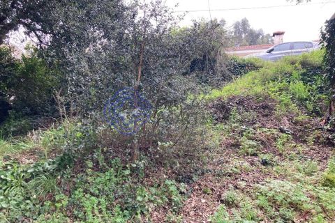 Helårsgrund i Valongo, Porto, Valongo - € 57.529 | Ref: 199491 - foto 10