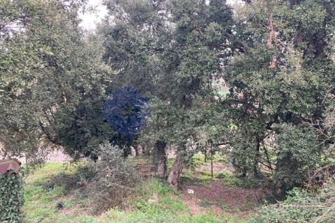 Helårsgrund i Valongo, Porto, Valongo - € 57.529 | Ref: 199491 - foto 14