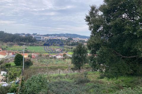 Helårsgrund i Valongo, Porto, Valongo - € 57.529 | Ref: 199491 - foto 15