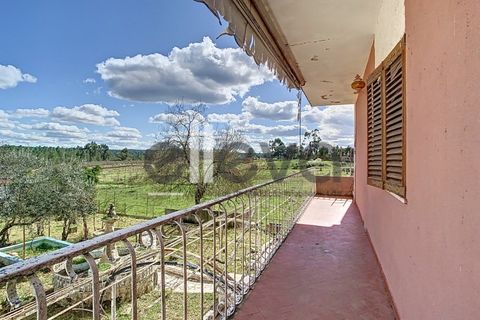 Villa i Castelo Branco, Castelo Branco, Castelo Branco - € 175.000 | Ref: 3926 - foto 3