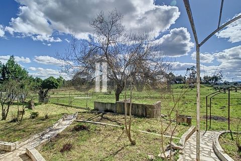 Villa i Castelo Branco, Castelo Branco, Castelo Branco - € 175.000 | Ref: 3926 - foto 4
