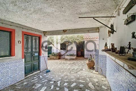 Villa i Castelo Branco, Castelo Branco, Castelo Branco - € 175.000 | Ref: 3926 - foto 21