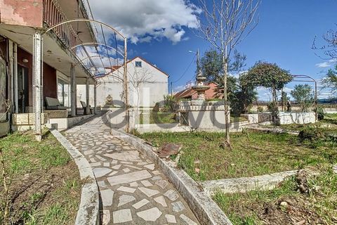 Villa i Castelo Branco, Castelo Branco, Castelo Branco - € 175.000 | Ref: 3926 - foto 24