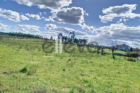 Villa i Castelo Branco, Castelo Branco, Castelo Branco - € 175.000 | Ref: 3926 - foto 28