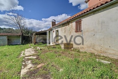 Villa i Castelo Branco, Castelo Branco, Castelo Branco - € 175.000 | Ref: 3926 - foto 26