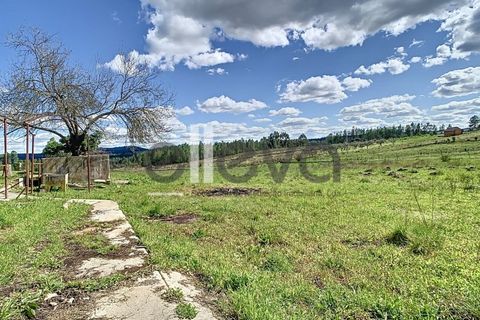 Villa i Castelo Branco, Castelo Branco, Castelo Branco - € 175.000 | Ref: 3926 - foto 27