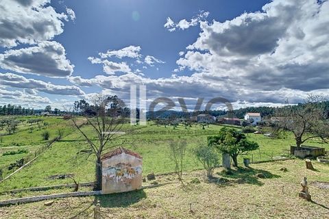Villa i Castelo Branco, Castelo Branco, Castelo Branco - € 175.000 | Ref: 3926 - foto 35