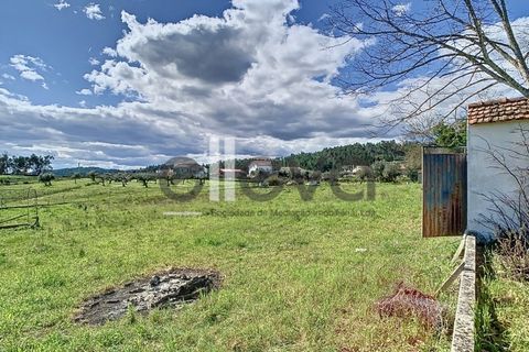 Villa i Castelo Branco, Castelo Branco, Castelo Branco - € 175.000 | Ref: 3926 - foto 34