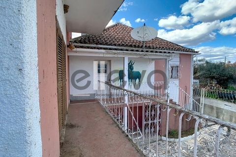 Villa i Castelo Branco, Castelo Branco, Castelo Branco - € 175.000 | Ref: 3926 - foto 41