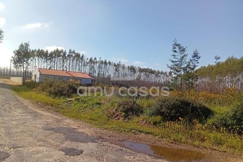 Helårsgrund i Agueda, Aveiro, Agueda - € 55.000 | Ref: PP28032025 - foto 3