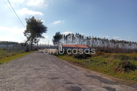 Helårsgrund i Agueda, Aveiro, Agueda - € 55.000 | Ref: PP28032025 - foto 4