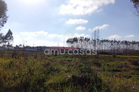 Helårsgrund i Agueda, Aveiro, Agueda - € 55.000 | Ref: PP28032025 - foto 5