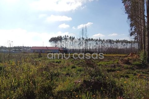 Helårsgrund i Agueda, Aveiro, Agueda - € 55.000 | Ref: PP28032025 - foto 6