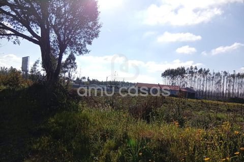 Helårsgrund i Agueda, Aveiro, Agueda - € 55.000 | Ref: PP28032025 - foto 9